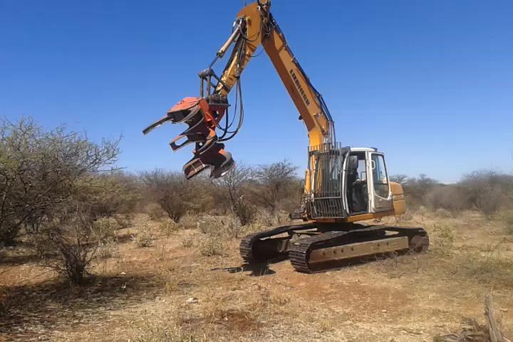 Bush Harvesting in Namibia All