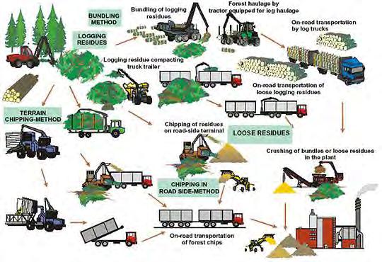 Biomass recovery and production systems Slash recovery operation Options Dump truck slash shuttle & centralized grinding Roll-off/Hook-lift truck slash shuttle & centralized grinding Bundling slash &