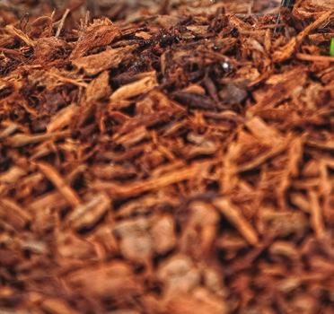 Organic Mulch Dead Organic Mulch Organic mulch comes in both dead and living varieties. Dead organic mulch has the biggest variety and is best for most things.
