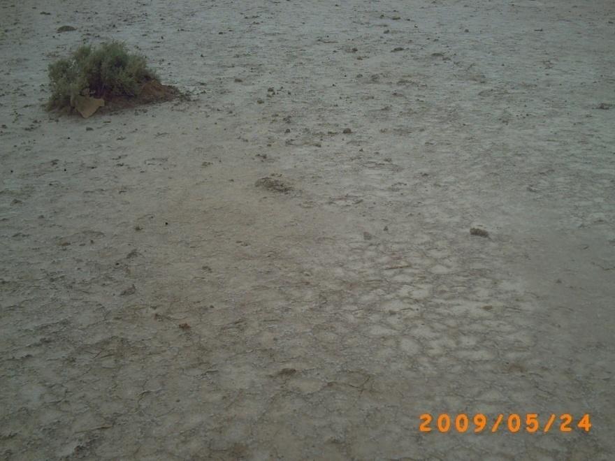 Classification of Salt-Affected soil in Iraq