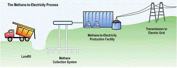 Renewable Energy Sources: Biomass