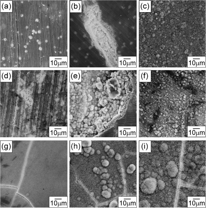 2370 H. Y. Yasuda et al. Fig. 3 SEM micrographs of HAp-20 vol% -TCP composites soaked in SBF solution for 12 (a-c), 24 (d-f) and 336 (g-i) hours; (a, d, g) F, (b, e, h) M and (c, f, i) C samples.