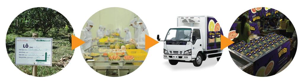 Complete control over the chain Farmer monitoring & training program Cold chain to the shelves of the