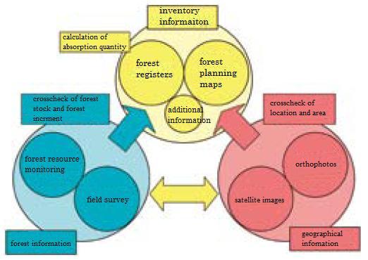 multiple sources which verify actual forest stands information including forest resources monitoring survey by the Forestry