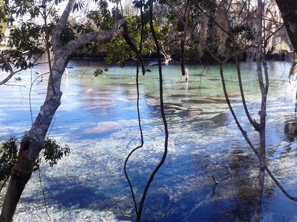 Florida Springs and Aquifer Protection Act (2016-1) The 2016 Florida Springs and Aquifer Protection Act lists requirements for BMAPs for Outstanding Florida Springs (OFS): BMAPs