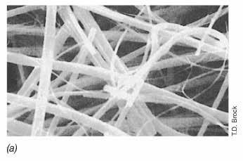 Filter Sterilisation Depth filter Fibrous sheet Borosilicate (glass) fibre HEPA (high-efficiency