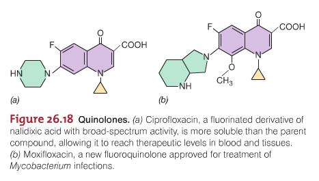 Classes of Antibacterial Drugs Quinolones Inhibit gyrase, a topoisomerase only present in bacteria