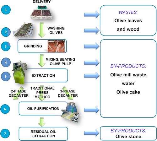 Stages of olive production with olive mill