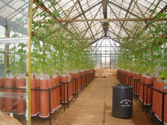 2014 Greenhouse