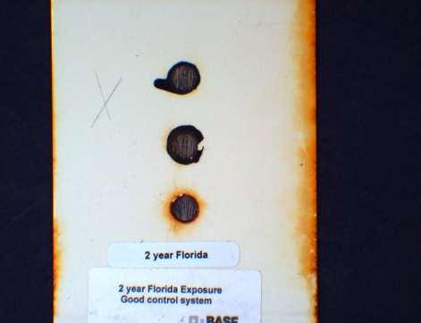 System 86 Florida Exposure J2527