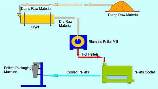 stable performance and high precision. 1.3 Pellet Plant Project Size The proper project size is to produce an annual output of 40,000 tons of biomass pellets.
