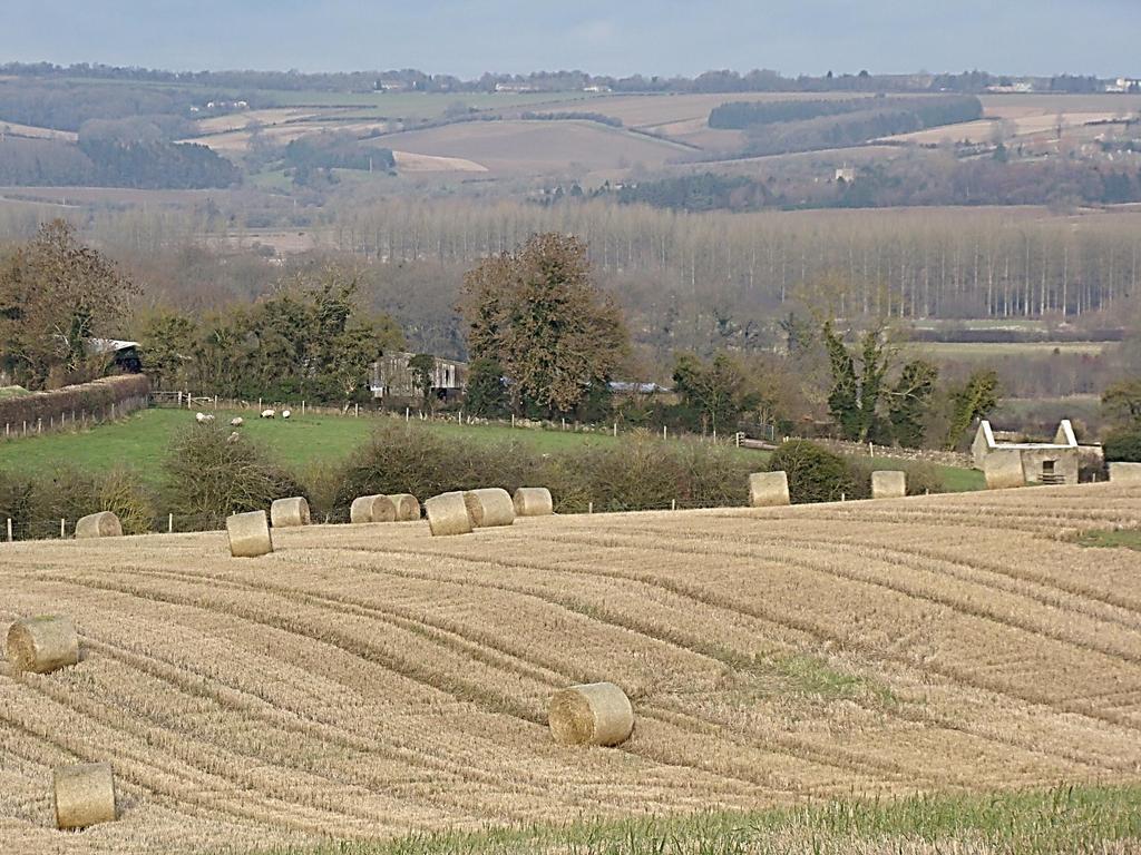 What the Cotswolds AONB