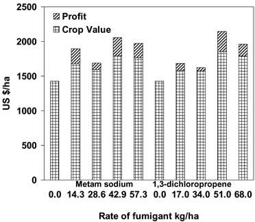 234 NEMATROPICA Vol. 37, No. 2, 2007 Options for management of Reniform nematode on cotton are limited, especially in areas where cotton production is intensive.