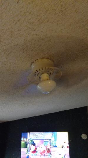 1. Ceiling Fans Family Room Operated normally when tested, at time of inspection. Burned out bulbs noted. 2.