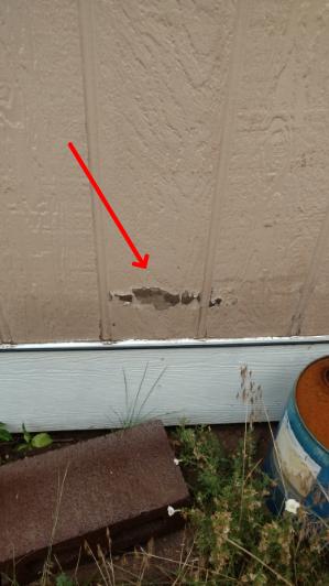 Window screen missing at the frontand east side of the home.