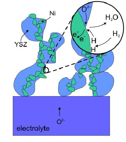 Electrode Reaction Kinetic f H 2 + O -- H 2 O + 2e - b f ½O 2 + 2e - O -- b Exhange