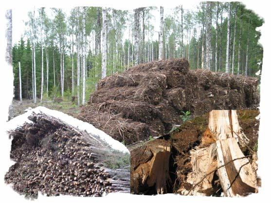 Current use of bioenergy from forests in Finland and future prospects NSFP- seminar: Forest regeneration and bioenergy 15.12.