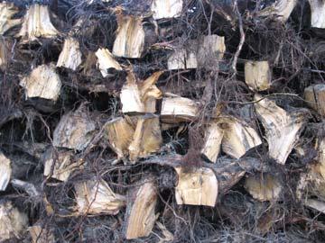 Three main sources of forest fuels in the large scale use Logging residues from final fellings Stumps from final fellings -A side productof finalcuttings - Accumulation easy to estimate and locate -