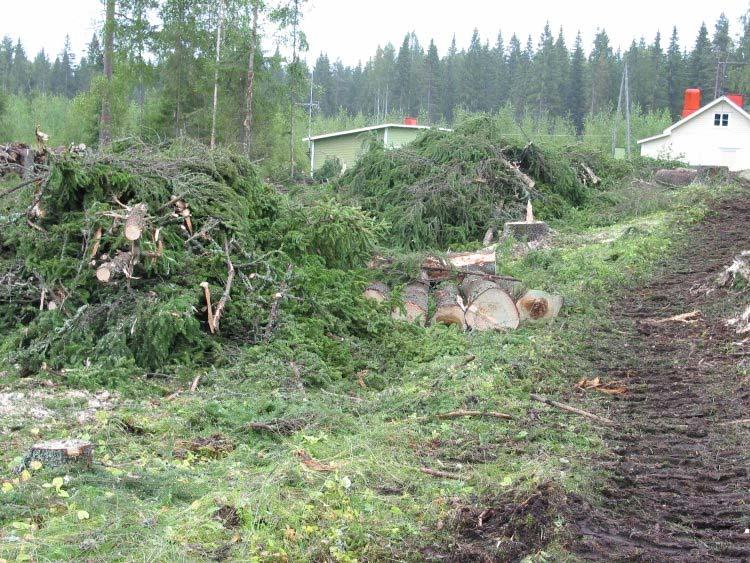 Harvesting of logging residues and stumps from spruce dominated clear cut areas Annual harvested area 25 000 ha an estimation - Spruce stands, since the yield of logging residues is more than twice