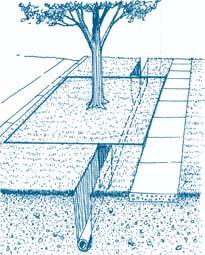 A Resident s Guide to Neighborhood Construction 7 PARKWAY TREE PROTECTION Parkway Tree Protection (Section 24-7*) involves avoiding damage to the tree both above and below ground.