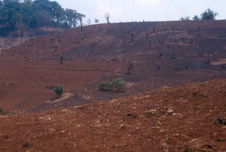 I. Reducing Emissions from Deforestation Deforestation is the human-induced conversion of forest to non-forested land.