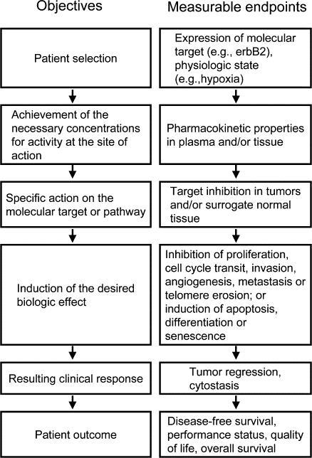Oncology is showing the way for translational research: example of