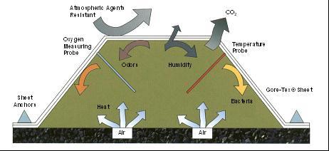 Schematic Diagram of Gas Flows in a Windrow Covered with Syntethic Material Atmospheric Agents Resistant CO
