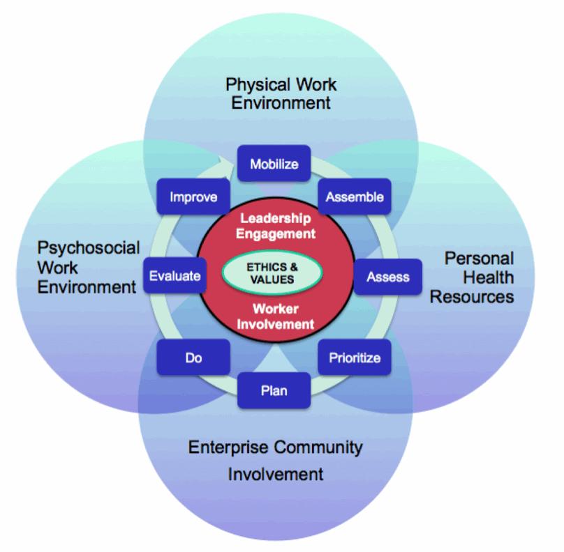 3 A model for healthy workplaces The WHO has developed a model for healthy workplaces, which explains the four aspects involved, the eight step tool for taking action and the underlying principles