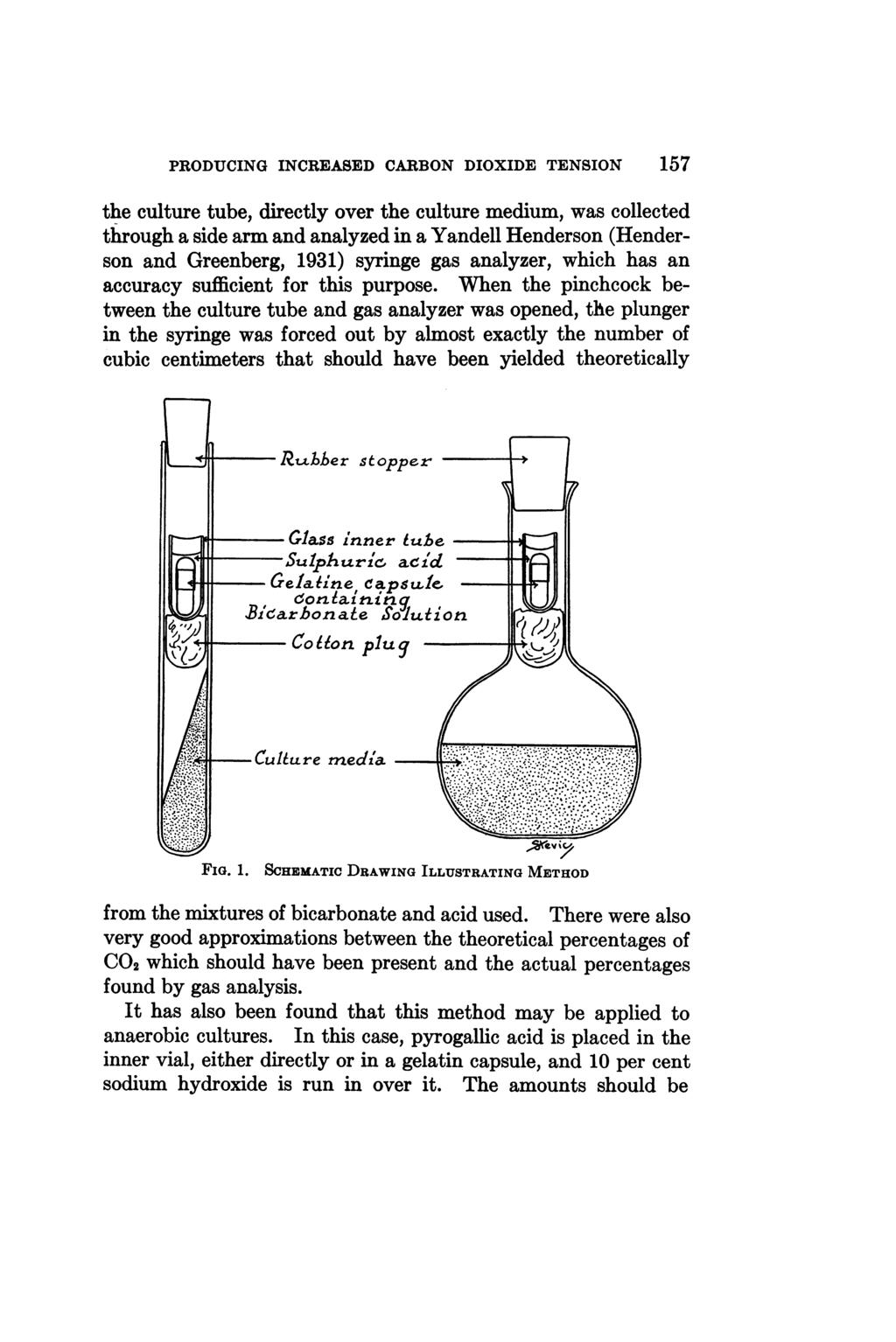 PRODUCING INCREASED CARBON DIOXIDE TENSION the culture tube, directly over the culture medium, was collected through a side arm and analyzed in a Yandell Henderson (Henderson and Greenberg, 1931)