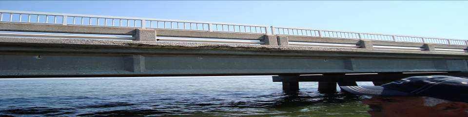 TODAY WE WILL DISCUSS Corrosion of Bridge Decks Surface Applied Corrosion Inhibitors Advances in Surface