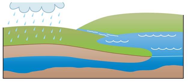 Water falls from clouds as rain and snow and drains into streams and rivers. The land surrounding streams and rivers is called a watershed.