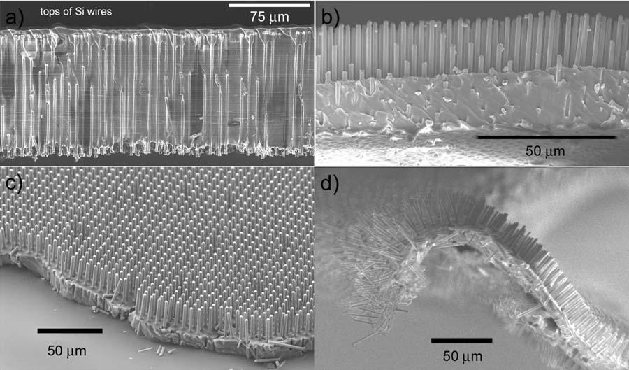 Figure 4.4. SEM images of cross-sections of embedded Si wire arrays of two different polymer thicknesses. (a) A composite film fabricated without a low-boiling point siloxane additive.