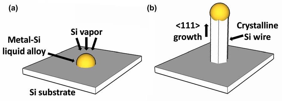 55 Figure 3.2. Schematic of the vapor-liquid-solid (VLS) mechanism of Si wire growth. (a) A solid metal catalyst forms a liquid eutectic alloy upon uptake of Si from the vapor phase.