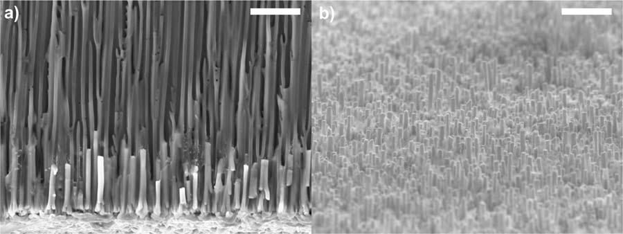 58 Figure 3.3. Si nanowire arrays grown with AAO templates. (a) Cross-sectional view SEM image of an AAO template with Si wires at the bottom of the pores.