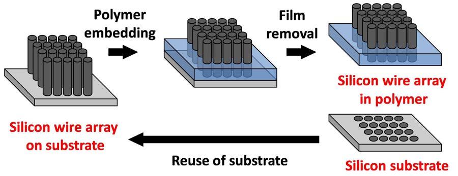 82 address this issue, we have developed a scheme in which the wires are transferred to a low-cost film and the substrate is recycled to grow subsequent wire arrays (Figure 4.1).
