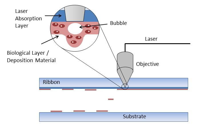 adaptation of BioLP, they utilize concepts of bubble dynamics driven droplet ejection, enabling micrometer resolution. Guillomet et al.