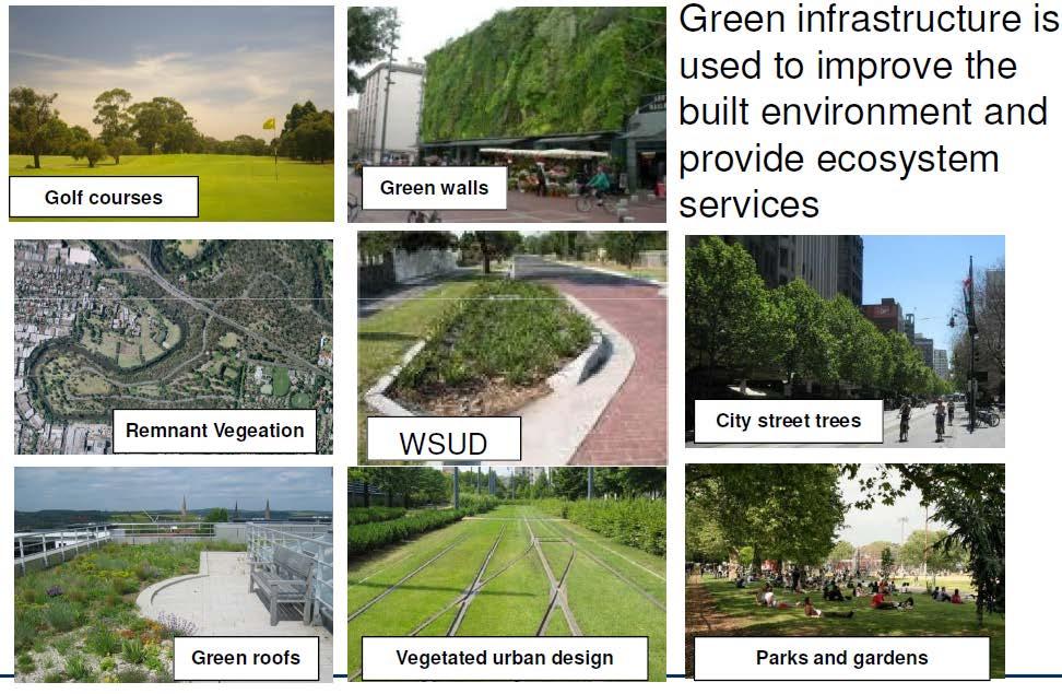 Source: The Growing Green Guide: A guide to green roofs, walls