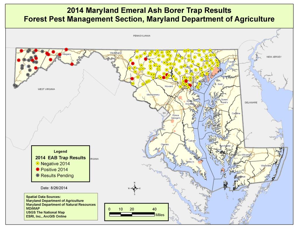 An estimated 5 million ash trees greater than 5 inches in diameter are growing on forest land in Maryland. The highest concentrations of ash are in western Maryland forests.