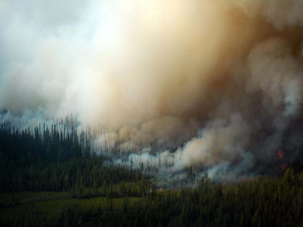Climate-limited fire regimes: boreal