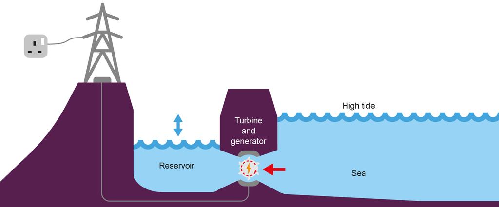 Tidal energy The rise and fall of the tide forces water through turbines which drive
