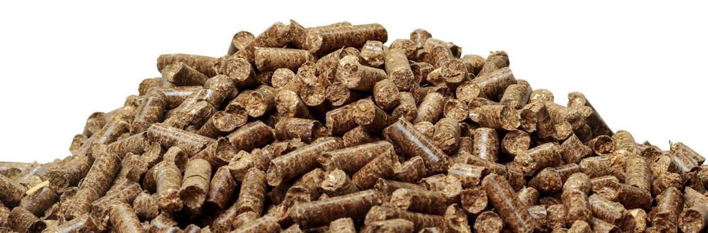 Biofuel and biomass Biofuel and biomass are created from organic matter which is burned to generate power Biomass fuels