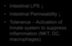 LPS Intestinal Permeability