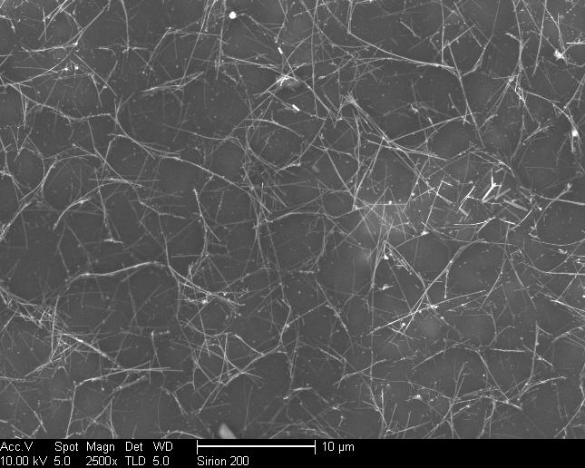 image of Ag nanowires, and SEM image of Ag