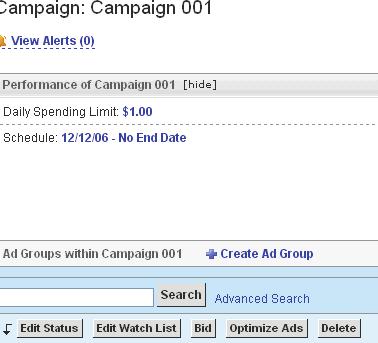 Campaign Organization (Continued) This will take us directly to the Campaign details page.