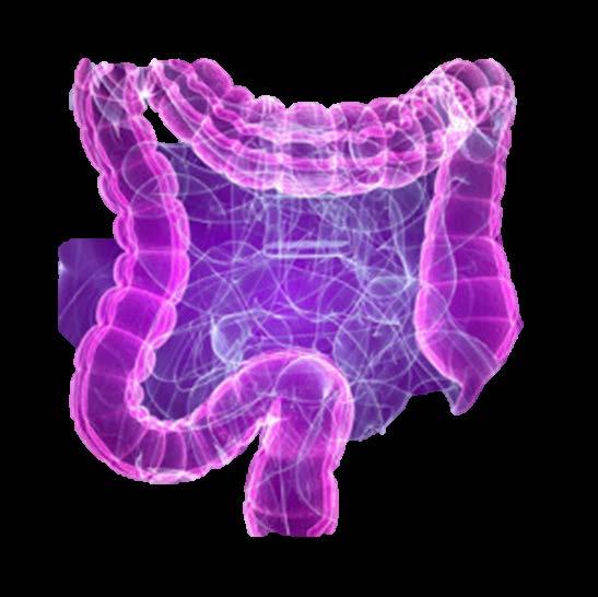 Changes in the gut microbiome have been correlated with a wide range of chronic