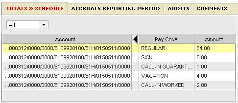 3. The Pay Code and the amount of hours that will apply that Pay Code are shown.