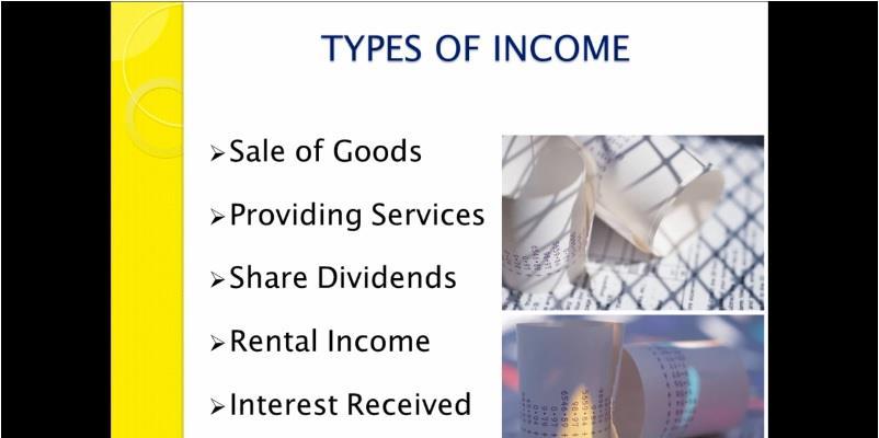 Video - DIY Accounting - Debits-Credits-Income-Expenses: The screenshot below