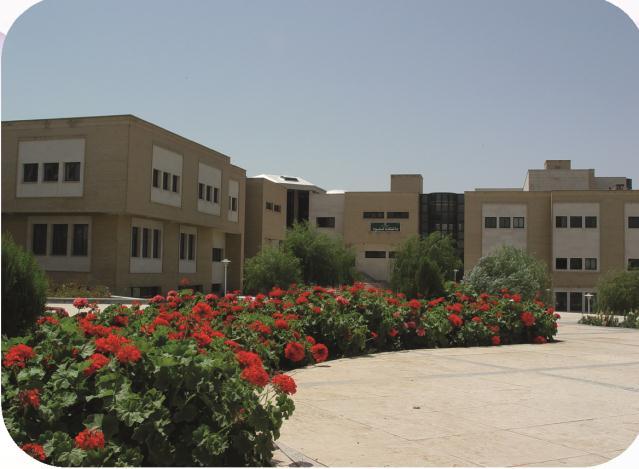 Faculty of