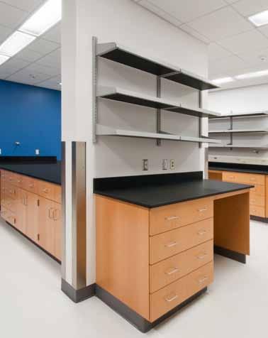 wood veneer natural, classic warmth plastic laminate distinctive, economical LEXINGTON Series The classic look and warmth of wood has long been popular in educational and research environments.