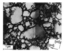 Dislocation structures Fractality TEM micrograph of dislocation cells of single copper deformed at 75.6MPa (Mughrabi, et.al. 1986) Cell distribution for deformed single crystal of copper and determination of the fractal dimension (Hahner, et.